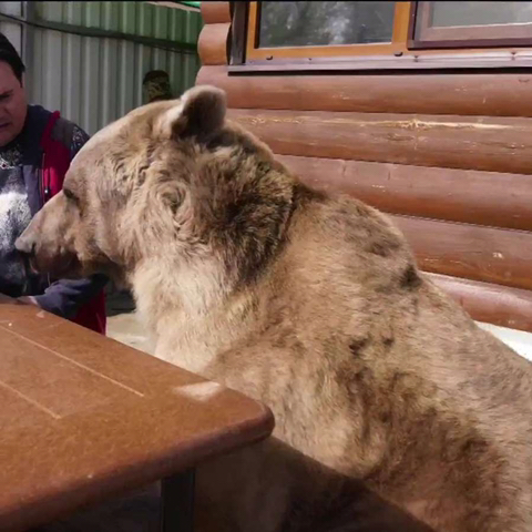 ??? : 아이고, 우리 "토끼" | 인스티즈