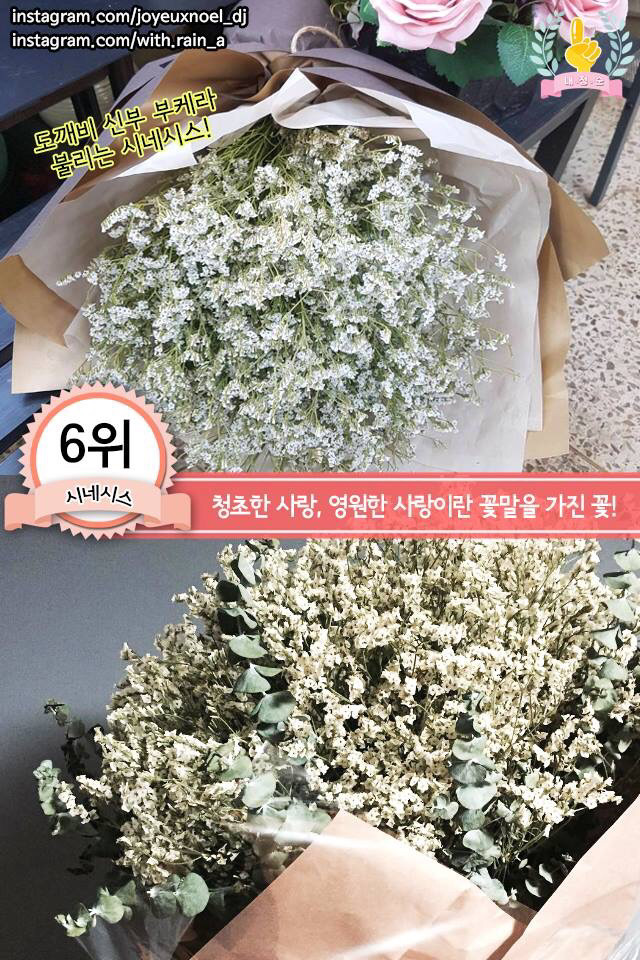 여자친구를 위한 봄 꽃다발 BEST | 인스티즈