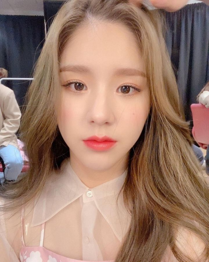 다양한 동물상 여자아이돌들! | 인스티즈
