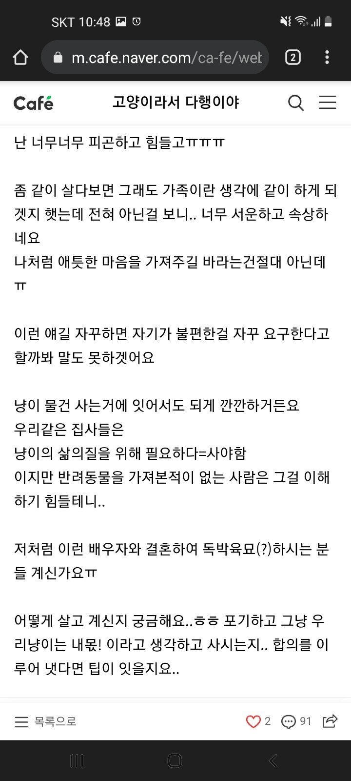남편이 안도와줘서 "독박육묘" 하고 있어요 | 인스티즈