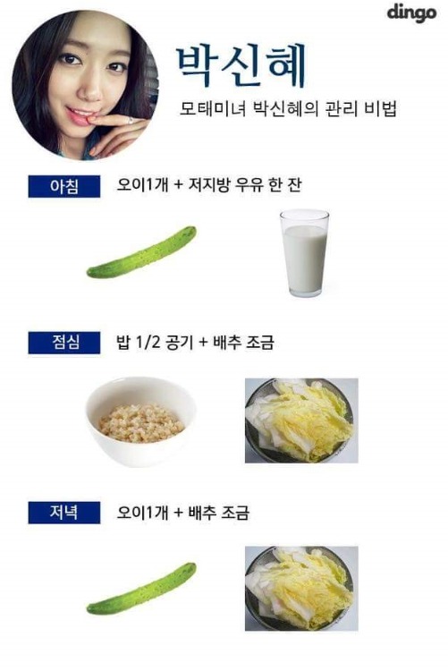 성공한 여자연예인 다이어트 식단 | 인스티즈