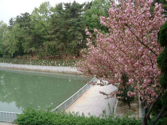 경상남도 창원시 의창구 용지공원과 그 주변 옛 모습.jpg | 인스티즈