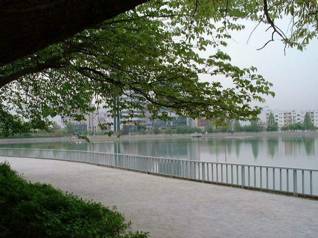 경상남도 창원시 의창구 용지공원과 그 주변 옛 모습.jpg | 인스티즈