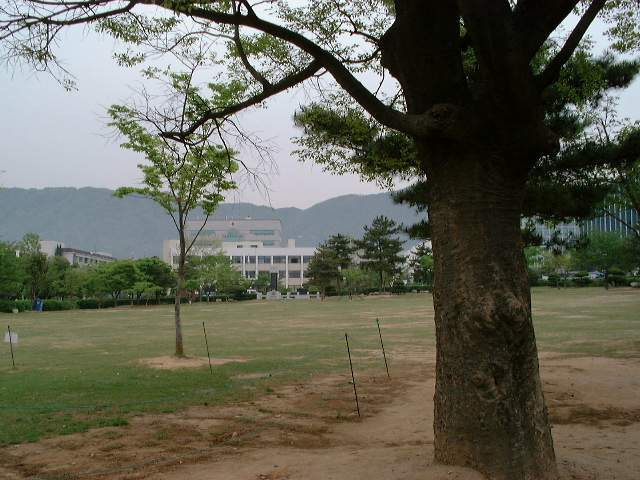 경상남도 창원시 의창구 용지공원과 그 주변 옛 모습.jpg | 인스티즈