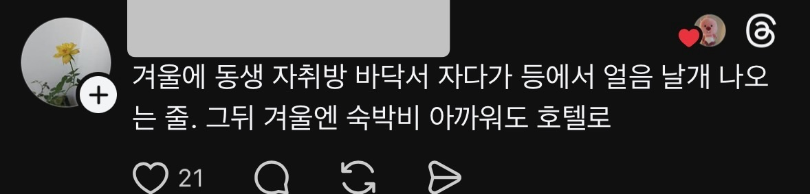 일본집 겨울 추위는 한국이랑 체감이 다르다는 스레드인 | 인스티즈