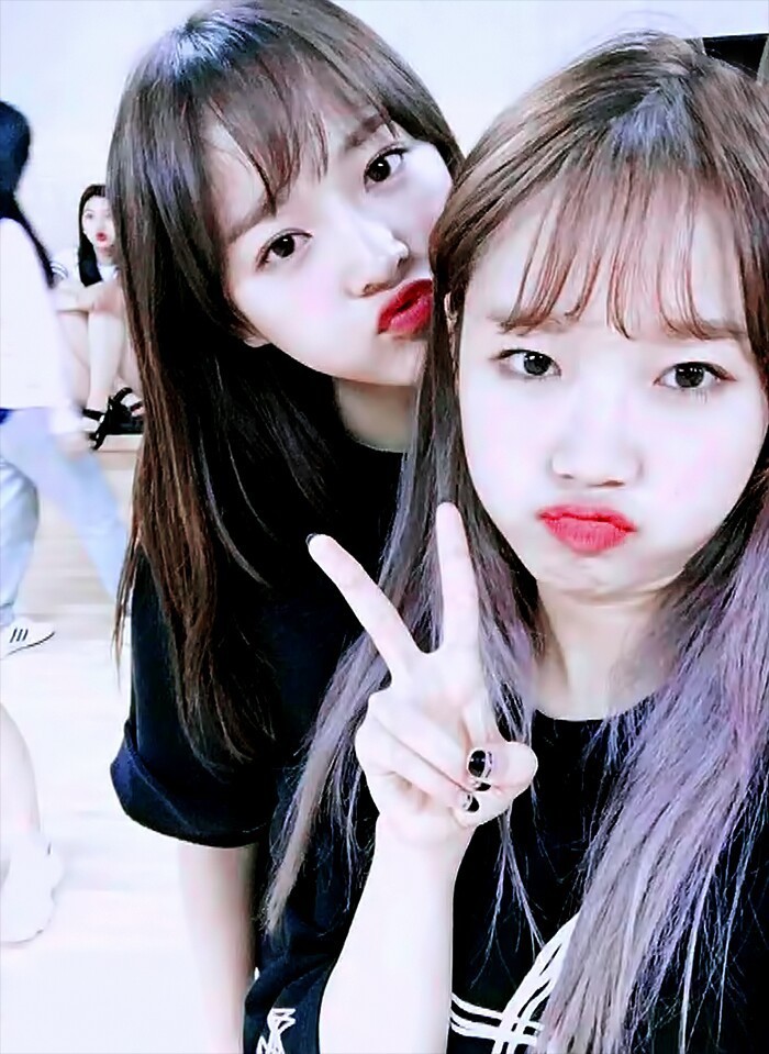 아이오아이에서 가장 좋아하는 김세정-최유정 커플.jpgif | 인스티즈