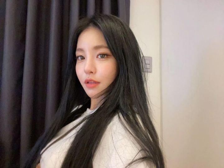 다양한 동물상 여자아이돌들! | 인스티즈