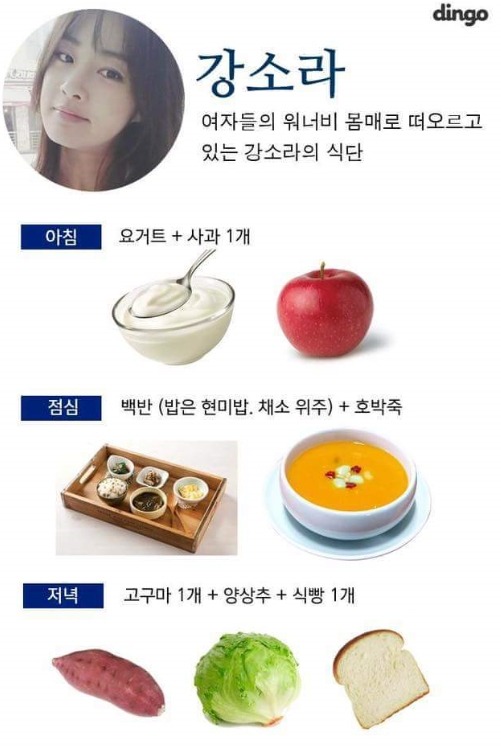 성공한 여자연예인 다이어트 식단 | 인스티즈