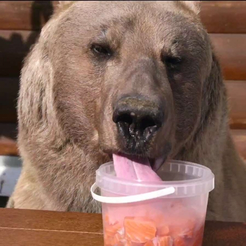 ??? : 아이고, 우리 "토끼" | 인스티즈