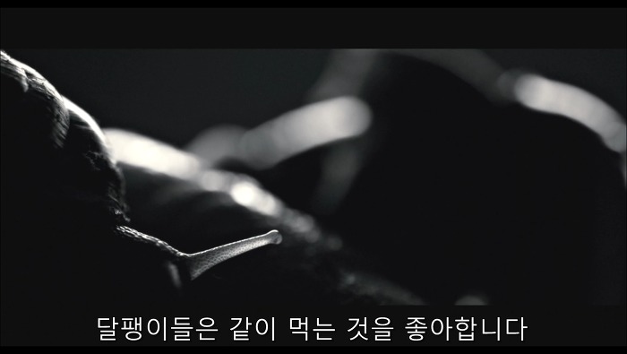 [로맨틱스릴러미드] 한니발 (Hannibal) 시즌3 에피1 (3/4) | 인스티즈