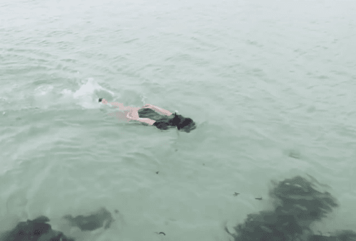 못하는게 없는 00년생 여성 유튜버,, | 인스티즈