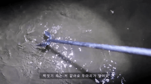 못하는게 없는 00년생 여성 유튜버,, | 인스티즈