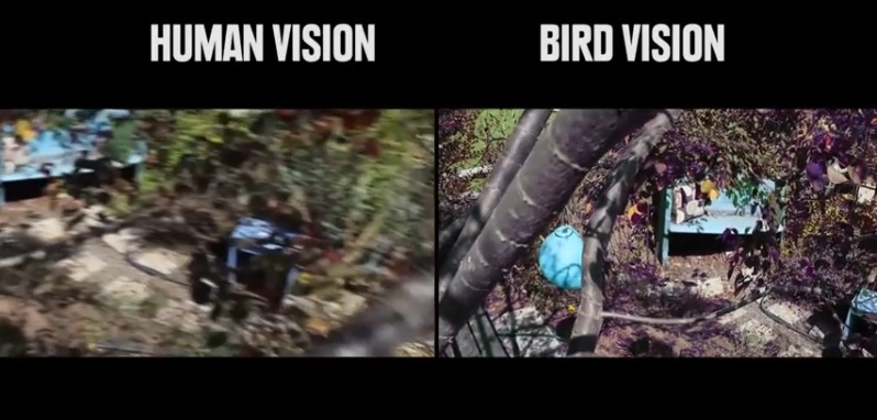 사람과 동물들의 시각차이.jpg | 인스티즈