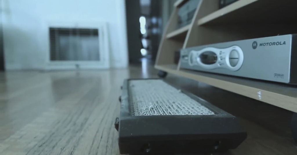 사람과 동물들의 시각차이.jpg | 인스티즈