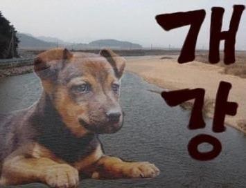 2주 뒤 대학생 인티인들의 상황 | 인스티즈