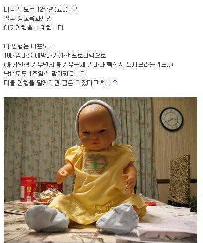 미국 고등학교 필수과제 | 인스티즈