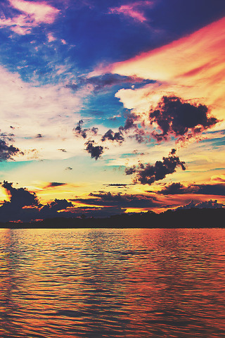 네가 버리지 못하는 유일한 문장이 되고 싶다 | 인스티즈