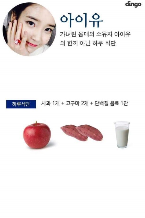 성공한 여자연예인 다이어트 식단 | 인스티즈