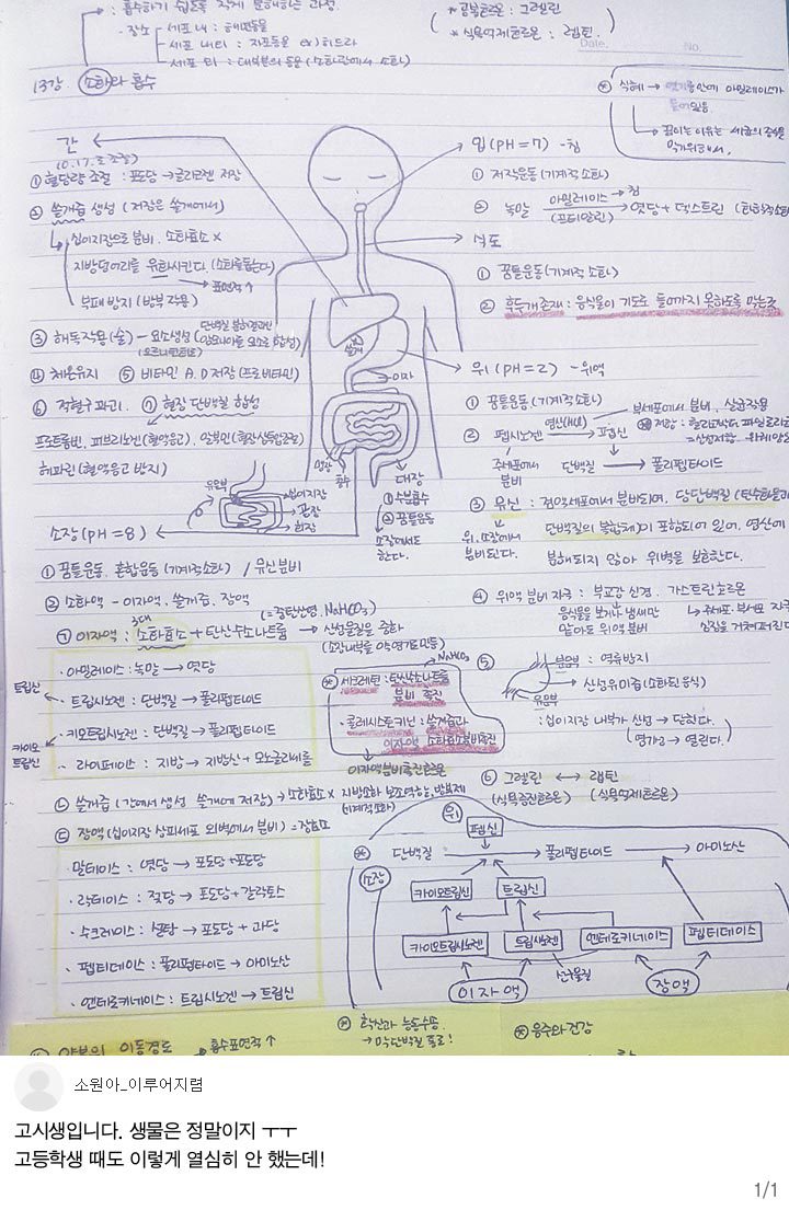 공부욕구 생기는 노트필기들 | 인스티즈