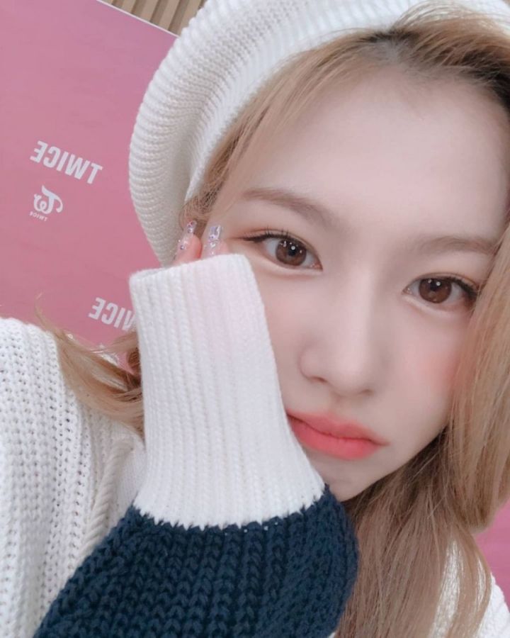 다양한 동물상 여자아이돌들! | 인스티즈