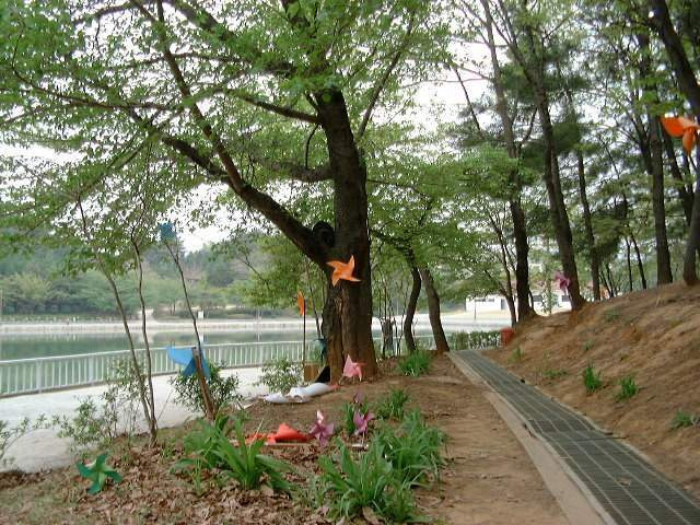 경상남도 창원시 의창구 용지공원과 그 주변 옛 모습.jpg | 인스티즈