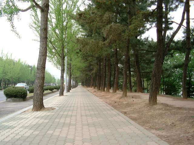 경상남도 창원시 의창구 용지공원과 그 주변 옛 모습.jpg | 인스티즈