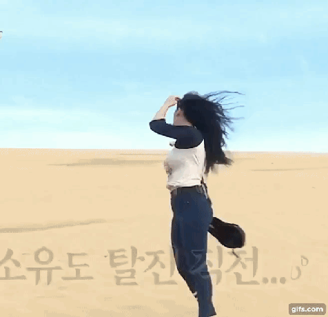 정글의 법칙 소유 | 인스티즈