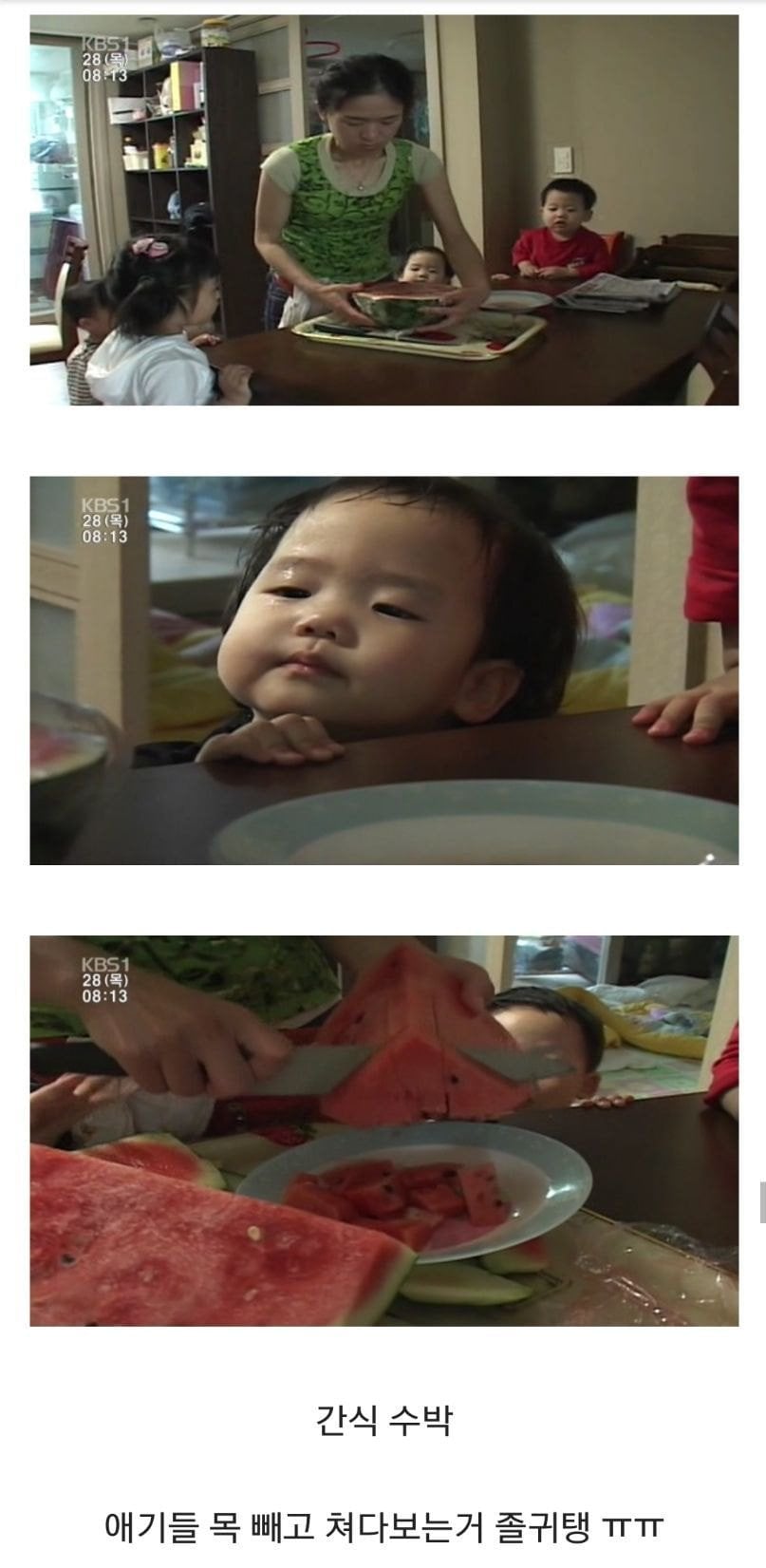 커서보니 엄청 대단한 인간극장 네쌍둥이 엄마...jpg | 인스티즈