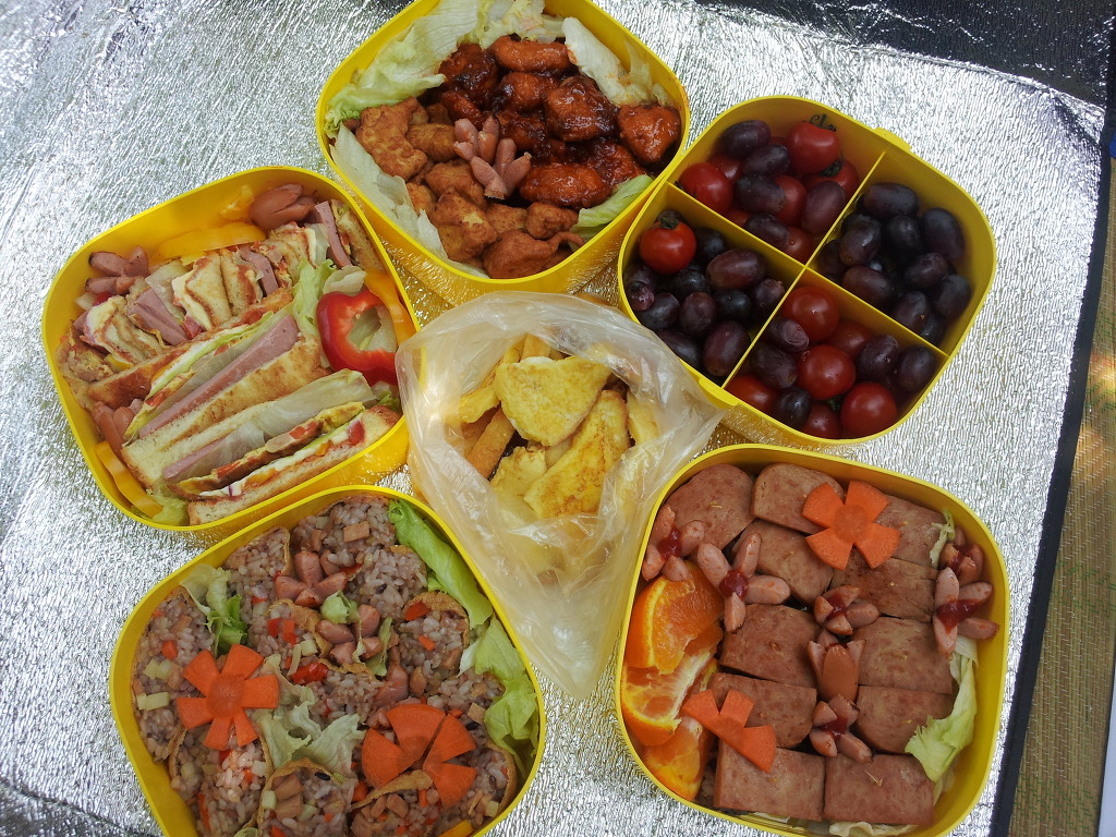 다이어터 여시가 찌는 다이어트 식단의 정석 핫챠 | 인스티즈