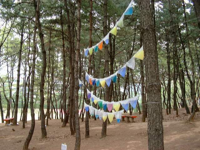경상남도 창원시 의창구 용지공원과 그 주변 옛 모습.jpg | 인스티즈