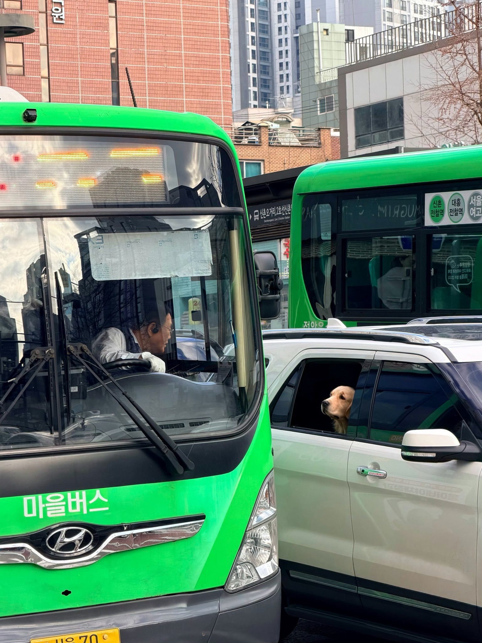 너무 한국적이고 가슴 따땃해지는 사진을 봤다.twt | 인스티즈