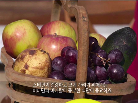 ??? : 아이고, 우리 "토끼" | 인스티즈