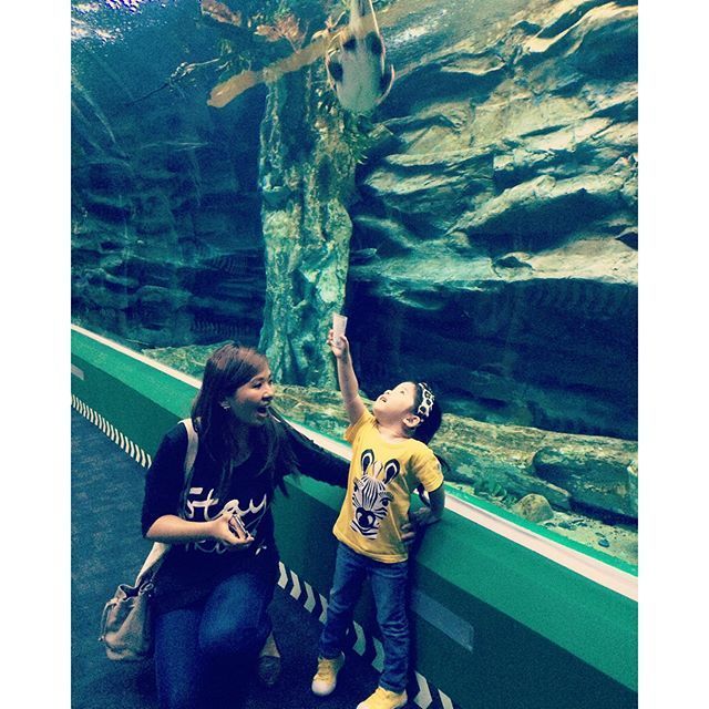 4살 생일을 맞아 한국으로 놀러온 대만쌍둥이 첼시와 제스퍼♡!! | 인스티즈