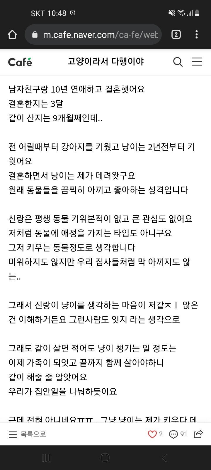 남편이 안도와줘서 "독박육묘" 하고 있어요 | 인스티즈