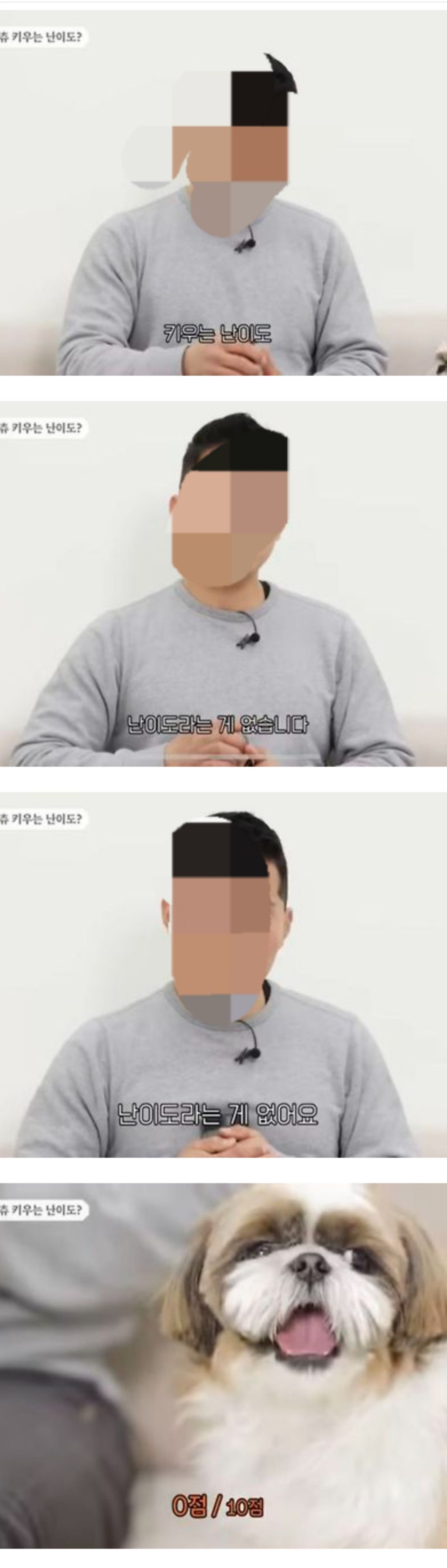 제일 순하다는 견종 | 인스티즈