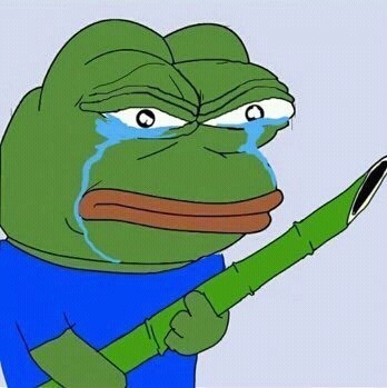 2017년 첫 개구리 | 인스티즈