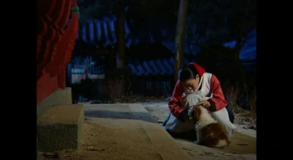 [시츄] 드라마 대장금에 나온 시츄.jpg | 인스티즈