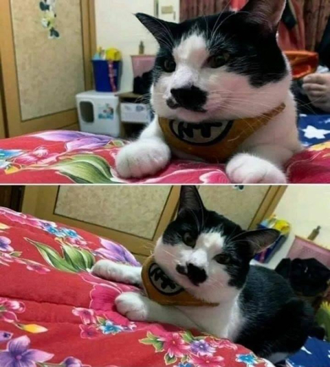 할머니에게 고영희씨를 10일 맡겼는데 | 인스티즈