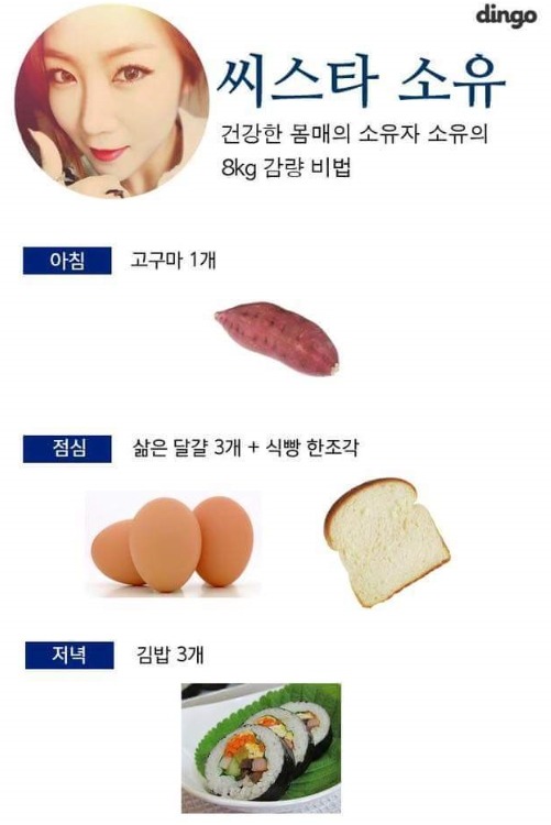 성공한 여자연예인 다이어트 식단 | 인스티즈