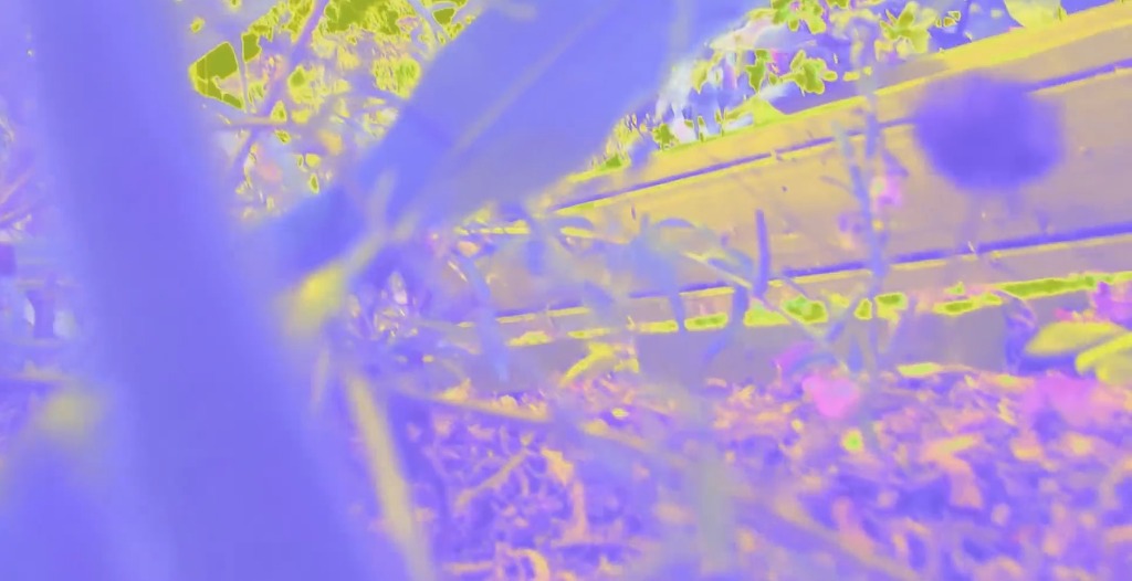 사람과 동물들의 시각차이.jpg | 인스티즈