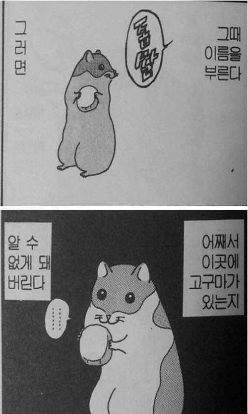 햄스터는 건망증이 심하다.jpg | 인스티즈