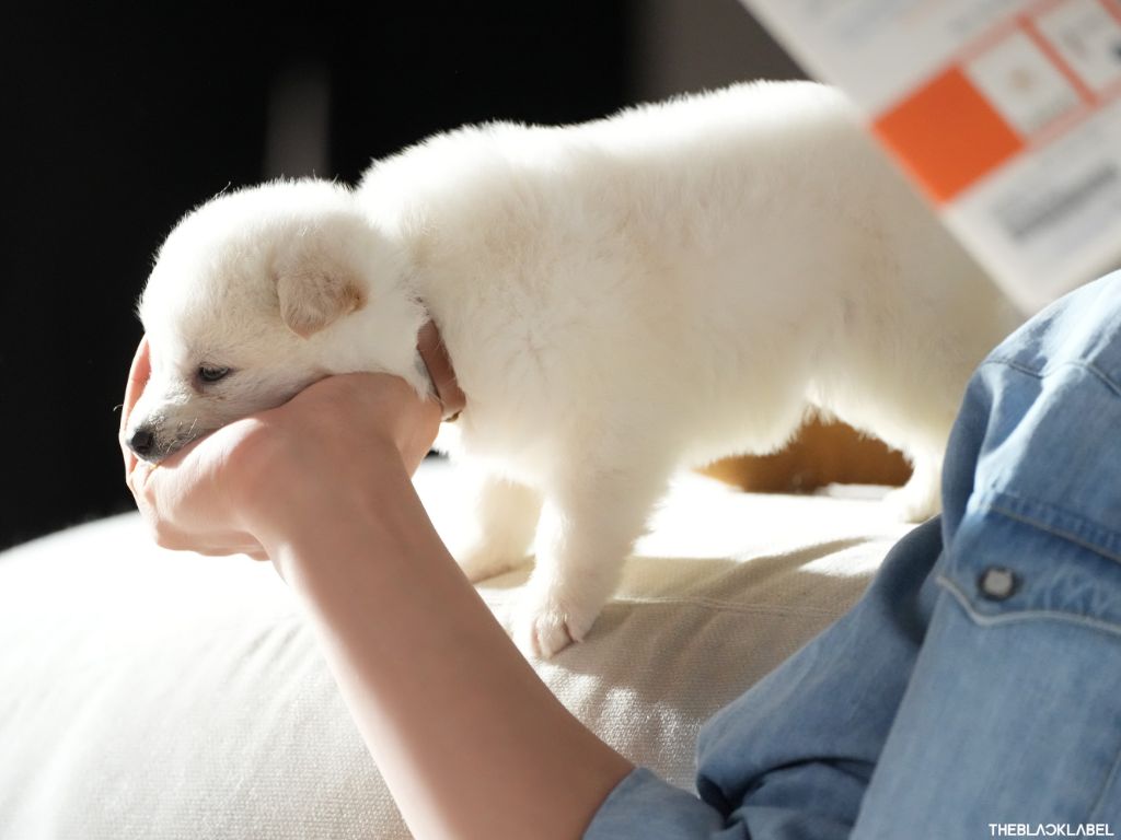 돈벌면서 사심채우는 연예인 | 인스티즈