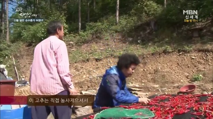 나는 자연인이다 말벌킬러 허명구씨ㅋㅋㅋㅋㅋㅋ | 인스티즈