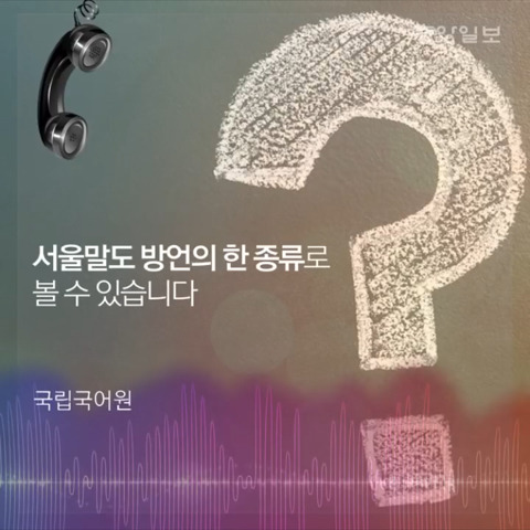 서울사투리가 있다구?(feat.이효리,김민희) | 인스티즈
