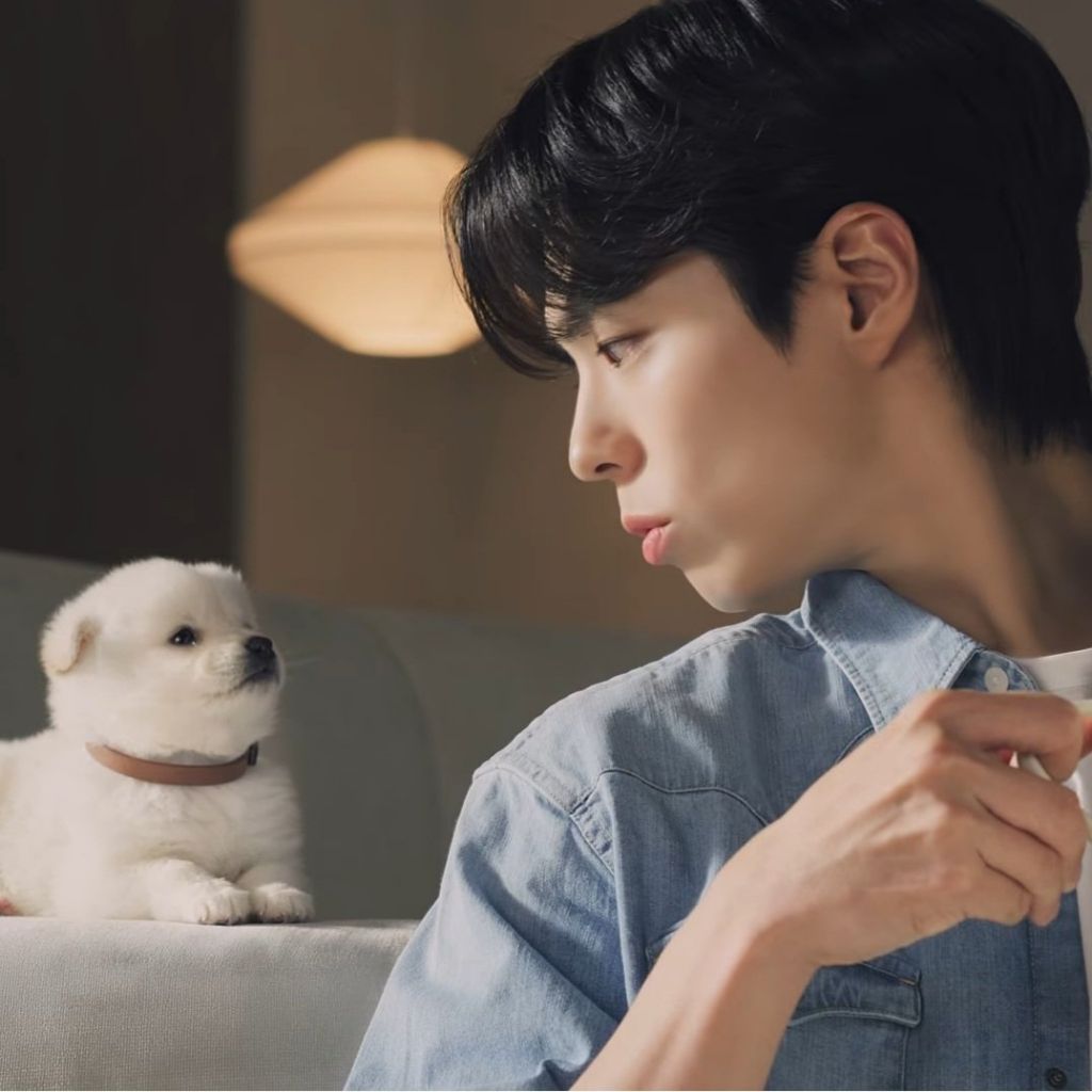 돈벌면서 사심채우는 연예인 | 인스티즈