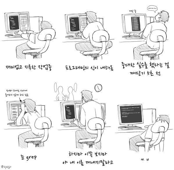 프로그래머/개발자 관련 공감짤 모음 | 인스티즈