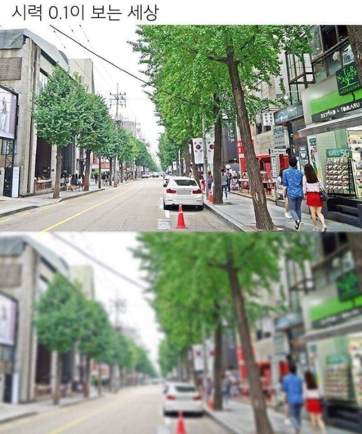 시력 0.1이 보는 세상.JPG | 인스티즈