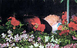 공산 국가들의 흔한 시체팔이 | 인스티즈