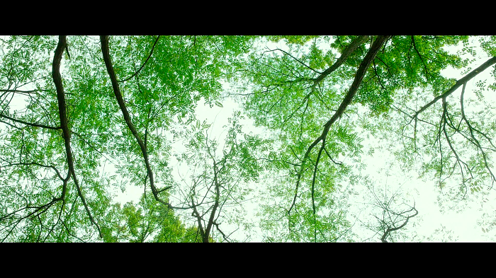 [영화] 꿈의 제인 完 +해석 | 인스티즈