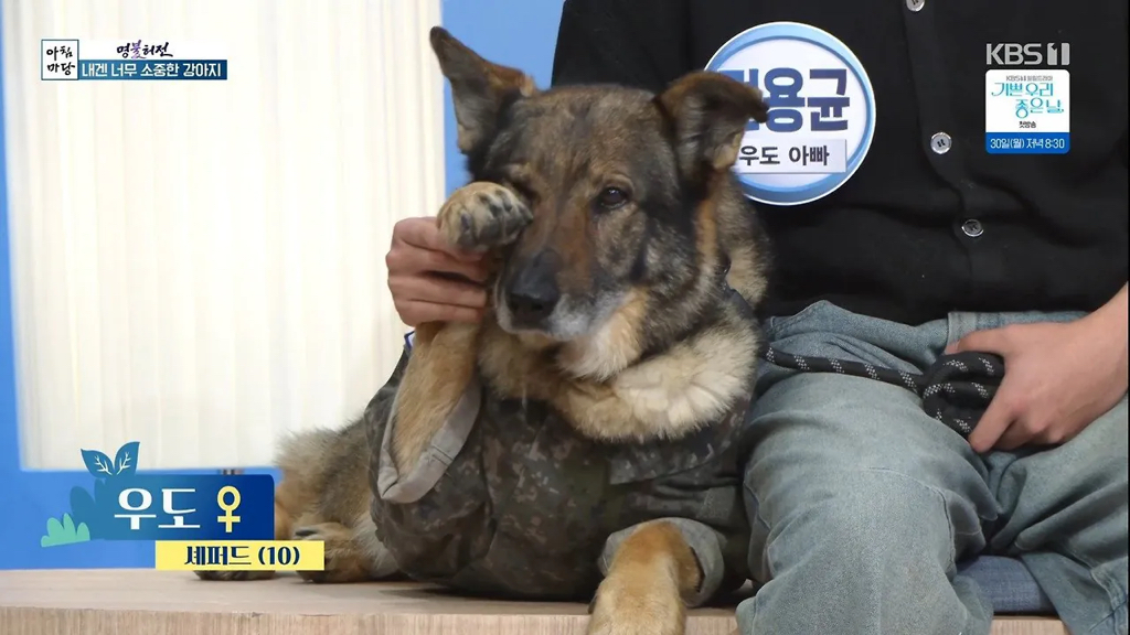 오늘자 아침마당 개스트 출연 | 인스티즈